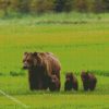 Mother Bear And Three Cubs Diamond Paintings