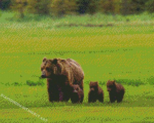 Mother Bear And Three Cubs Diamond Paintings