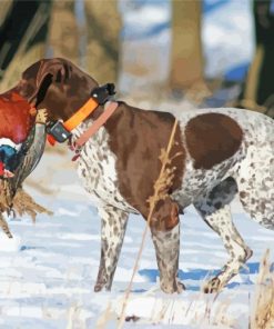 Pheasant Hunting Dog In Snow Diamond Paintings