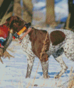 Pheasant Hunting Dog In Snow Diamond Paintings