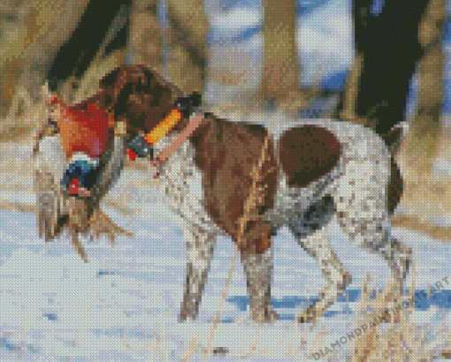 Pheasant Hunting Dog In Snow Diamond Paintings