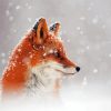 Side Profile Fox In Snow Diamond Paintings