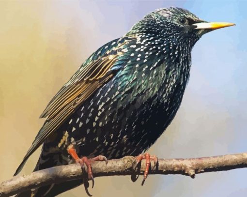 Starling Bird On A Branch Diamond Paintings