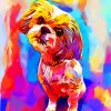 Abstract Colorful Shih Tzu Dog Diamond Paintings