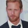 Aesthetic Alexander Skarsgard Diamond Paintings