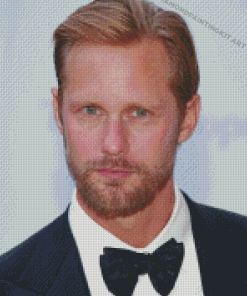 Aesthetic Alexander Skarsgard Diamond Paintings