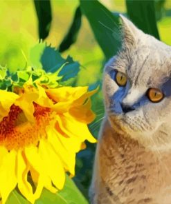 Aesthetic Cat Sunflower Diamond Paintings