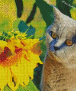 Aesthetic Cat Sunflower Diamond Paintings