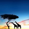 African Giraffes Silhouette Diamond Paintings