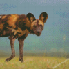 African Hunting Dog Diamond Paintings