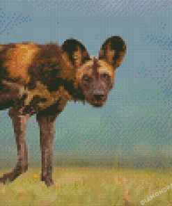 African Hunting Dog Diamond Paintings