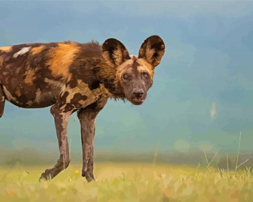 African Hunting Dog Diamond Paintings