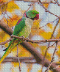 Alexandrine Parakeet On Tree Branch Diamond Paintings