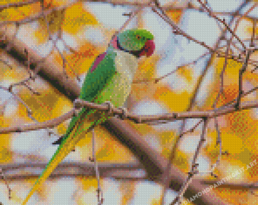 Alexandrine Parakeet On Tree Branch Diamond Paintings