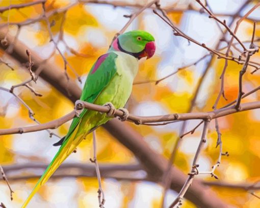 Alexandrine Parakeet On Tree Branch Diamond Paintings