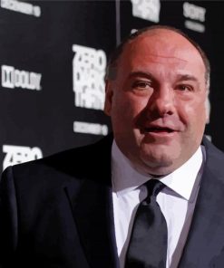 American Actor James Gandolfini Diamond Paintings