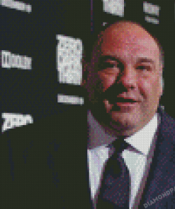 American Actor James Gandolfini Diamond Paintings