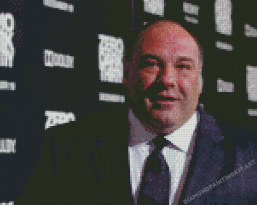 American Actor James Gandolfini Diamond Paintings