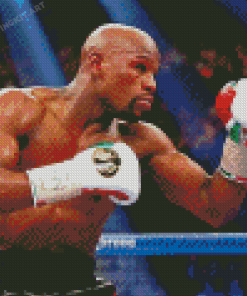 American Boxer Floyd Mayweather Diamond Paintings