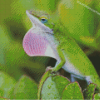 Anole Lizard Diamond Paintings