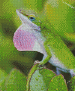 Anole Lizard Diamond Paintings