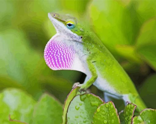 Anole Lizard Diamond Paintings