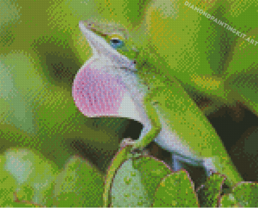 Anole Lizard Diamond Paintings