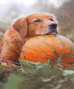 Autumn Pumpkin Golden Retriever Diamond Paintings