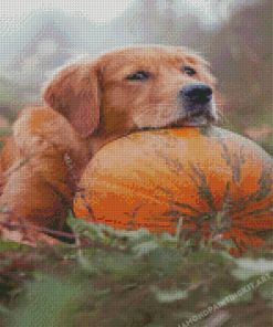 Autumn Pumpkin Golden Retriever Diamond Paintings