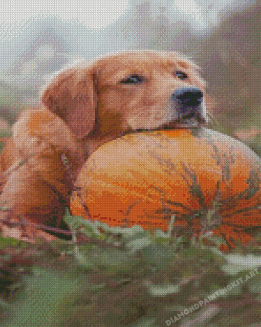 Autumn Pumpkin Golden Retriever Diamond Paintings