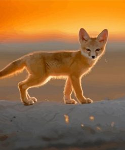 Baby Fox At Sunset Diamond Paintings