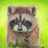 Baby Raccoon Art Diamond Paintings