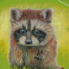 Baby Raccoon Art Diamond Paintings