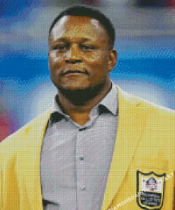 Barry Sanders Diamond Paintings