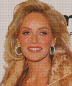 Beautiful Actress Sharon Stone Diamond Paintings