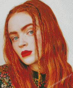 Beautiful Sadie Sink Diamond Paintings