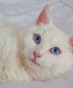 Beautiful White Cat With Blue Eyes On Bed Diamond Paintings