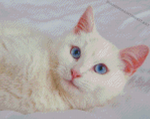 Beautiful White Cat With Blue Eyes On Bed Diamond Paintings