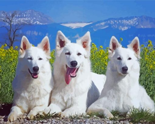 Berger Blanc Suisse Dogs Diamond Paintings