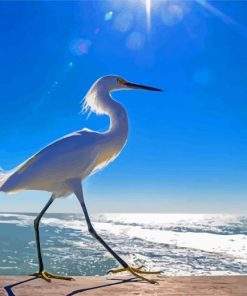 Bird On Beach Seascape Diamond Paintings