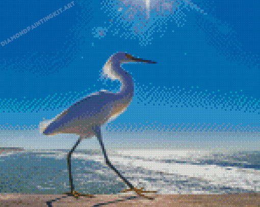 Bird On Beach Seascape Diamond Paintings