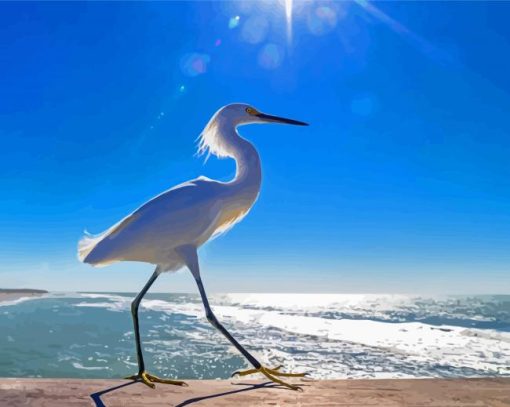 Bird On Beach Seascape Diamond Paintings