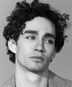 Black And White Robert Sheehan Diamond Paintings