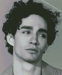 Black And White Robert Sheehan Diamond Paintings