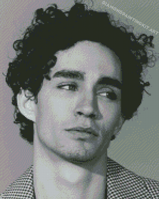 Black And White Robert Sheehan Diamond Paintings