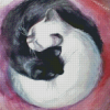 Black And White Yin And Yang Cats Diamond Paintings