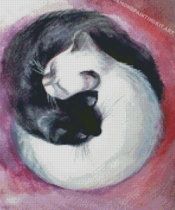 Black And White Yin And Yang Cats Diamond Paintings