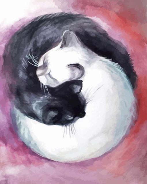 Black And White Yin And Yang Cats Diamond Paintings