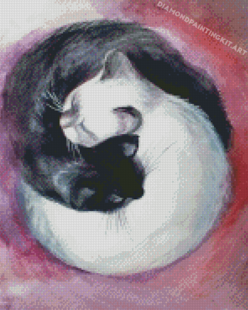 Black And White Yin And Yang Cats Diamond Paintings