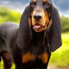 Black And Tan Coonhound Diamond Paintings